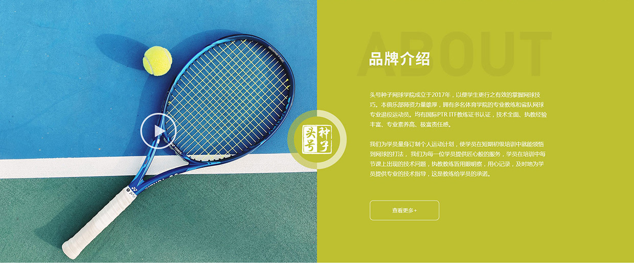 無錫頭號種子體育文化發(fā)展有限公司網(wǎng)站案例