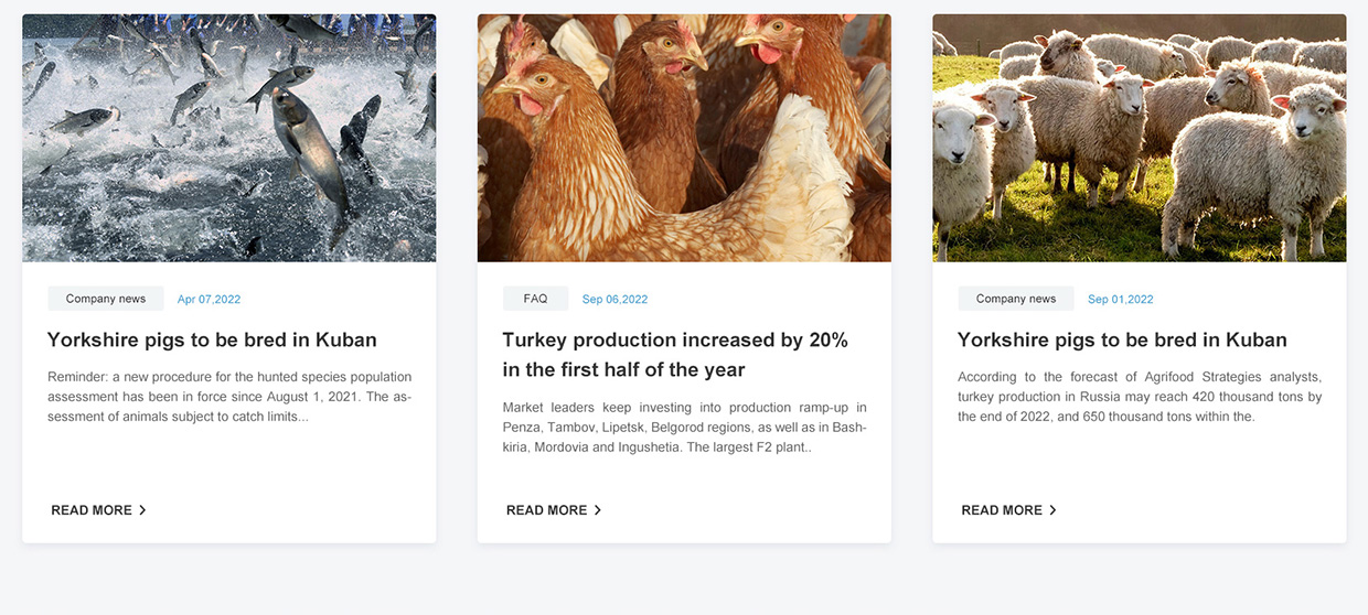 浙江日出藥業(yè)有限公司網(wǎng)站案例