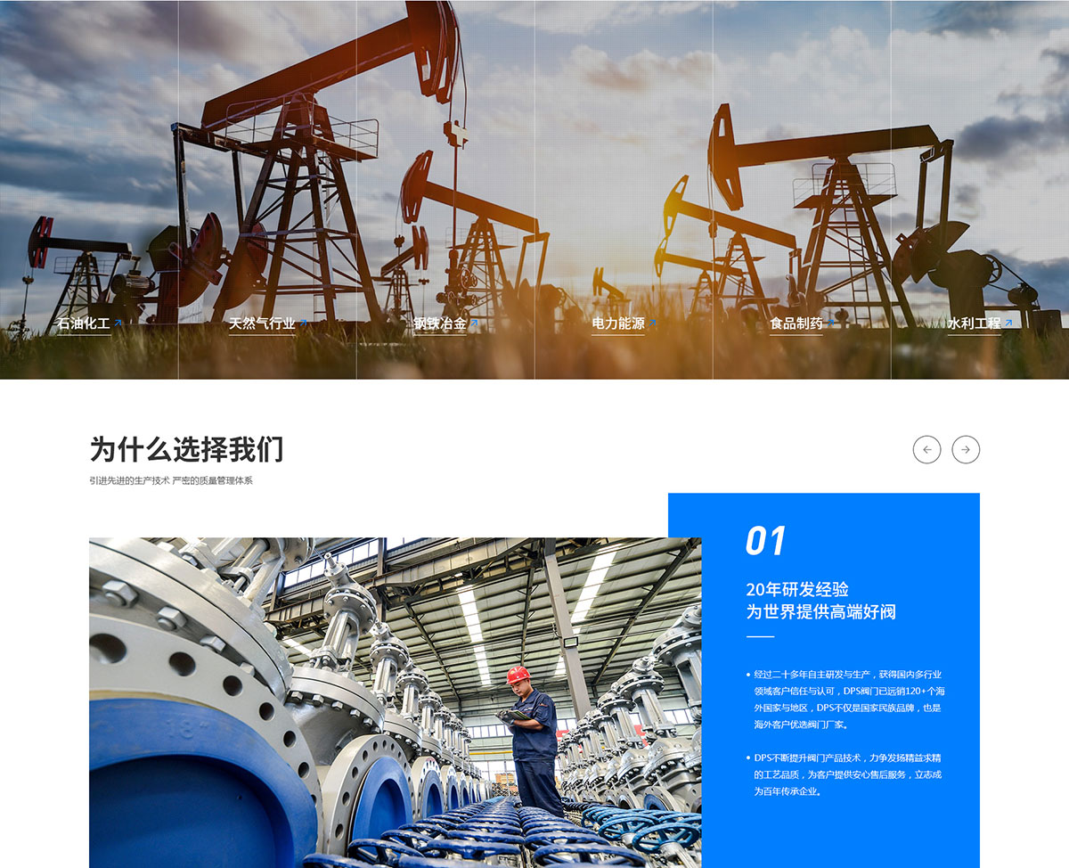 迪普斯科技網(wǎng)站建設案例